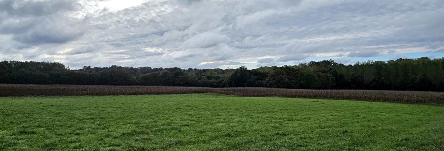 Terrain  7000 m² à vendre à Panjas (32110)