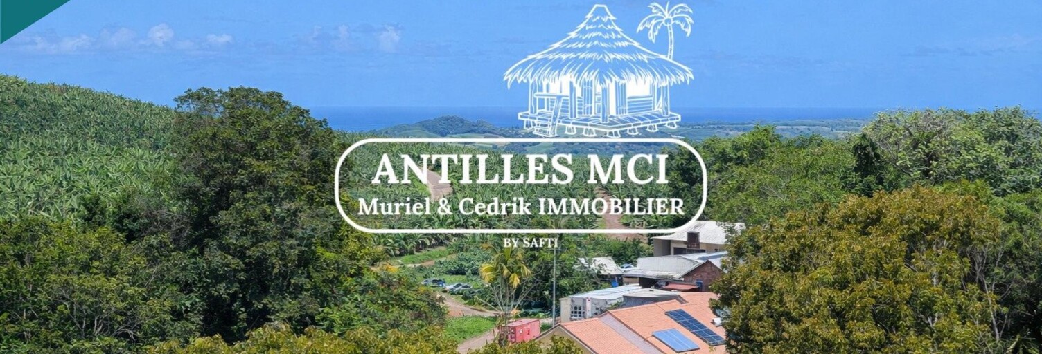 Appartement 4 Pièces 87 m² à vendre à Le Robert (97231)