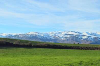 Terrain  115000 €