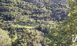 Terrain  56500 m² à vendre à Peille (06440)