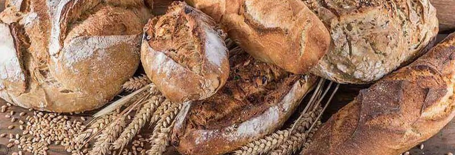 Commerce  100 m² à vendre à Ury (77760)