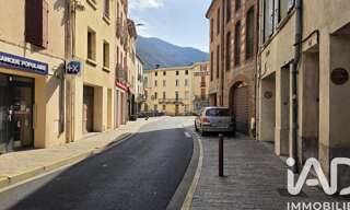 Appartement 5 Pièces 156 m² à vendre à Arles-sur-Tech (66150)