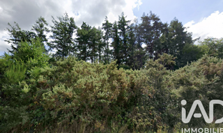 Terrain  1649 m² à vendre à Saint-Julien (22940)