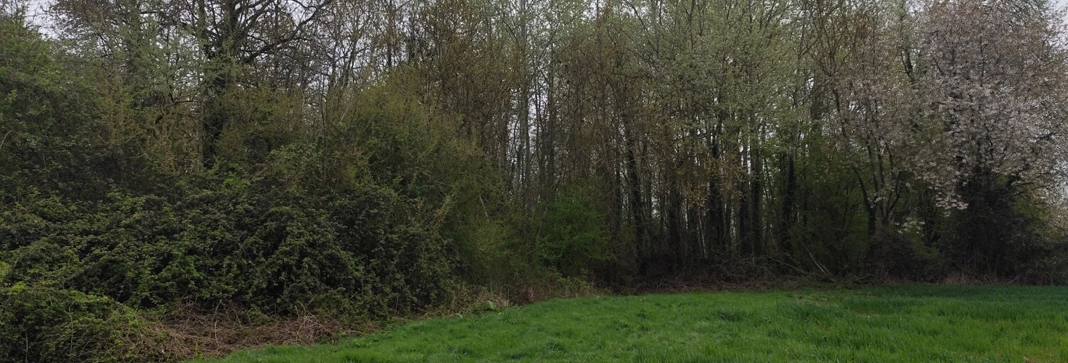 Terrain  7123 m² à vendre à Marles-en-Brie (77610)