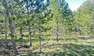 Terrain  501 m² à vendre à Mollans-sur-Ouvèze (26170)