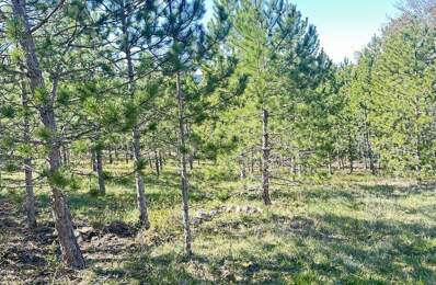 Vente Terrain 501 m&sup2; — photo du bien