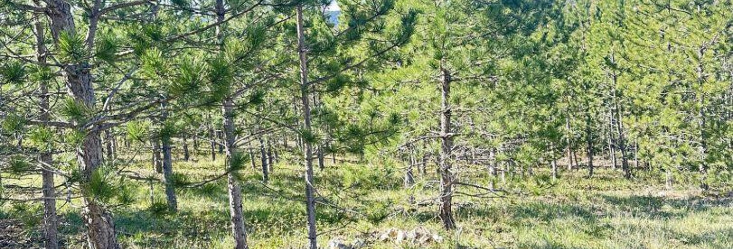 Terrain  501 m² à vendre à Mollans-sur-Ouvèze (26170)