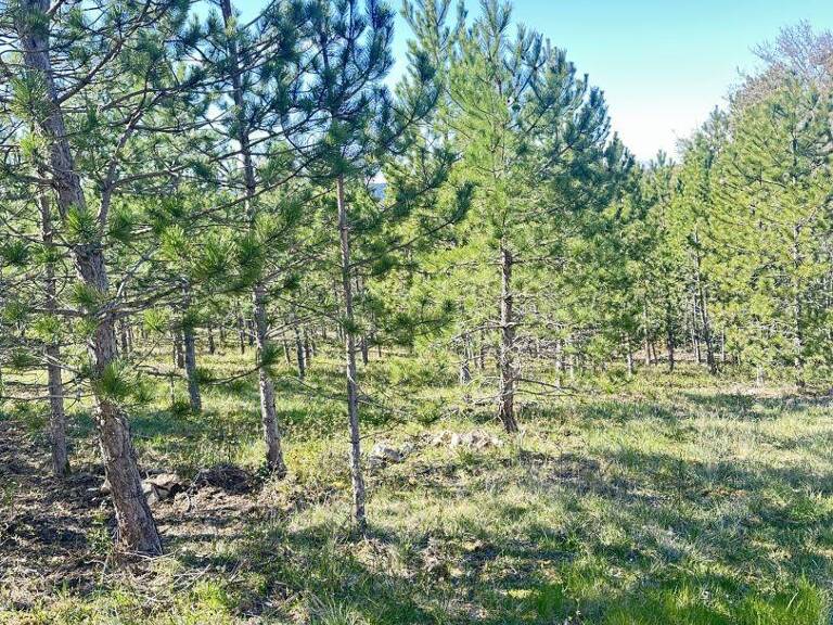 Vente Terrain 501 m&sup2; — photo 1