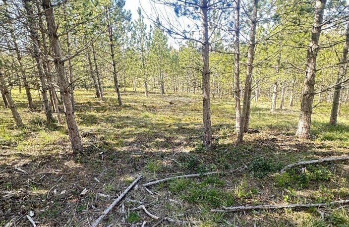 Vente Terrain 501 m&sup2; — photo 3