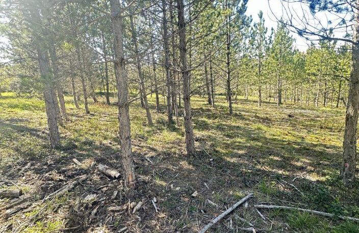 Vente Terrain 501 m&sup2; — photo 4