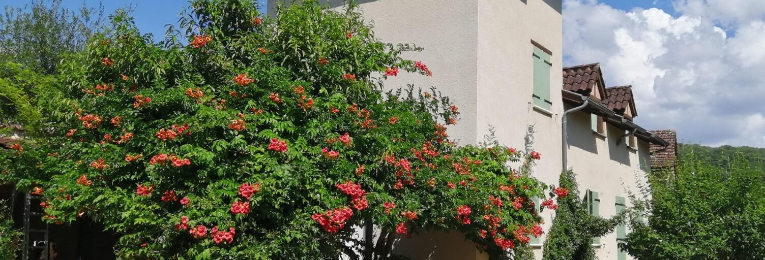 Maison 6 Pièces 298 m² à vendre à Lissac-et-Mouret (46100)