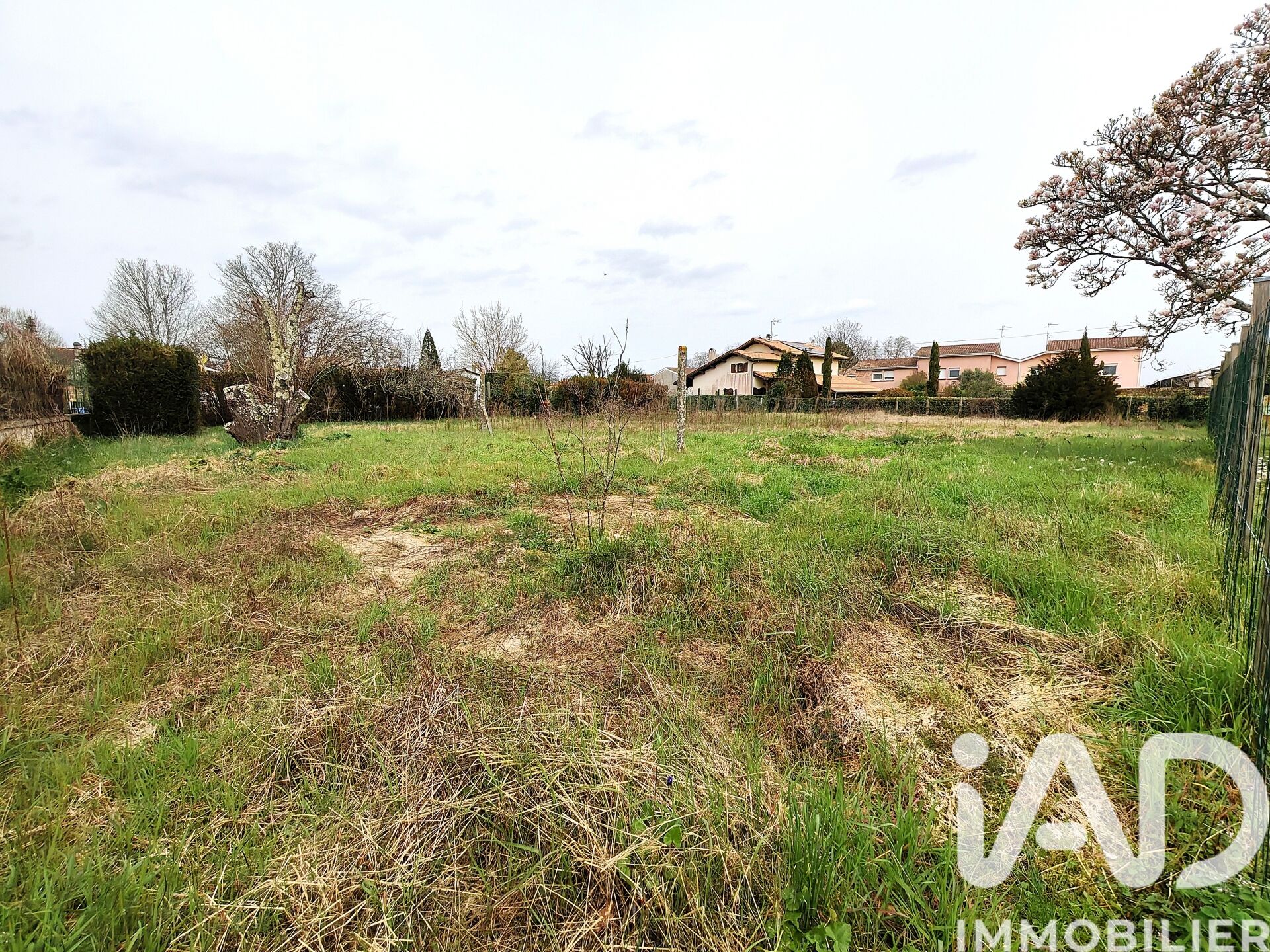 Castelnau-De-Medoc - 1000m²