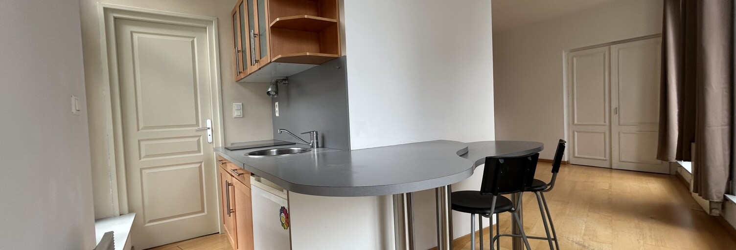 Appartement 1 Pièce 31 m² à louer à Lille (59800)