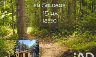 Terrain  153854 m² à vendre à Neuvy-sur-Barangeon (18330)