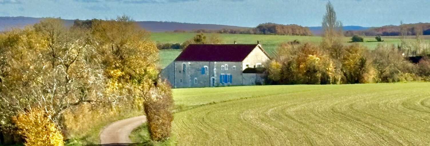 Photo N° 2