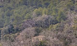 Maison 5 Pièces 100 m² à vendre à Bargemon (83830)