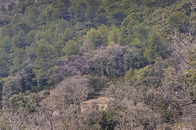 Maison 5 pièces 535000 €