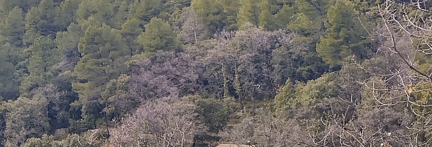 Maison 5 Pièces 100 m² à vendre à Bargemon (83830)