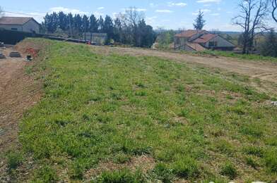 Terrain  65000 €