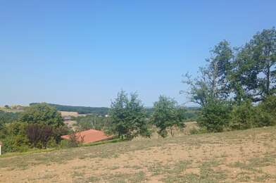 Terrain  65000 €