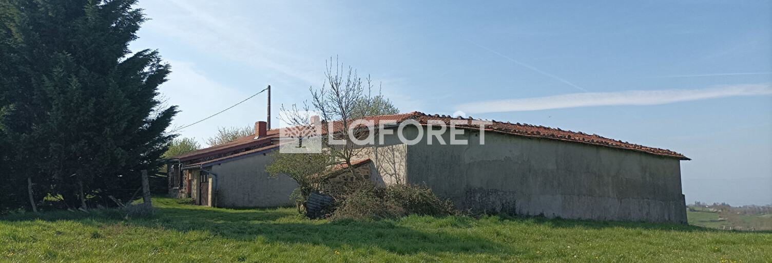Photo N° 2