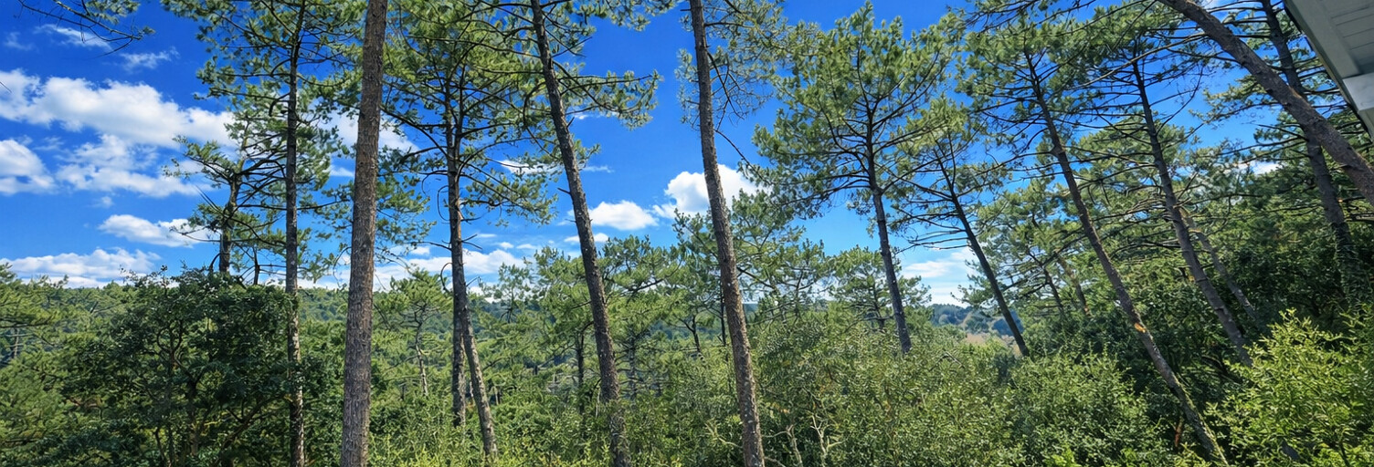 Maison 5 Pièces 145 m² à vendre à Seignosse (40510)