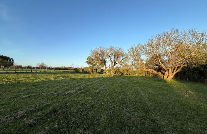 Batiment avec terrain d'environ 1 473m2 MESCHERS SUR GIRONDE — photo 3