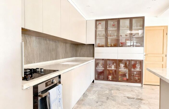 Vallauris limite Cannes — rez-de-villa 149 m², studio — photo 5