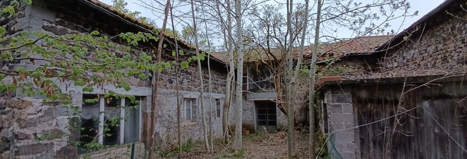 Immeuble  554 m² à vendre à Fix-Saint-Geneys (43320)