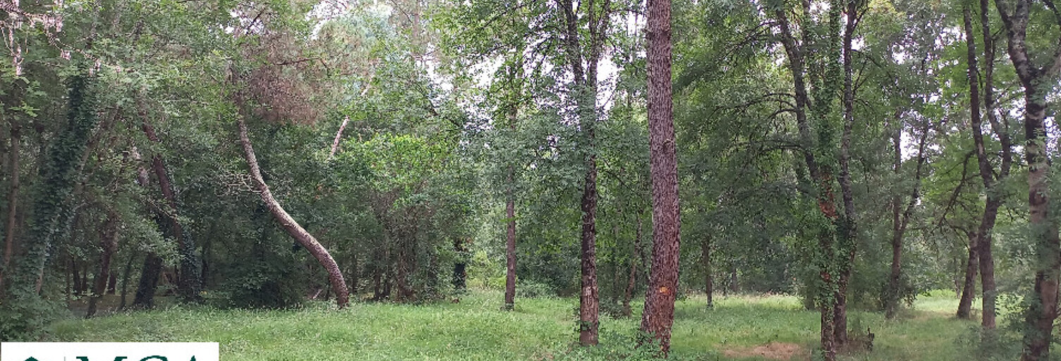 Terrain  1484 m² à vendre à Ménesplet (24700)