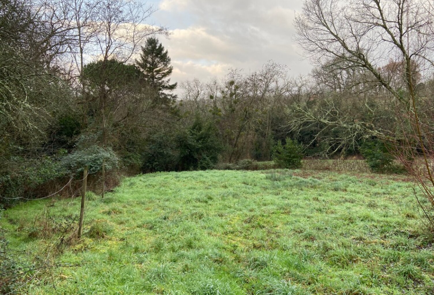 Terrain à bâtir à Saint-Selve (33650) — photo 1
