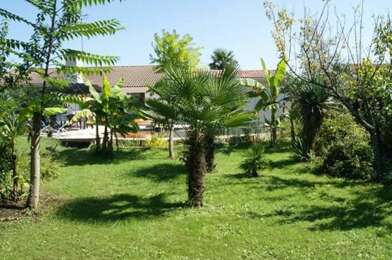 Appartement 1 pièces 540 €