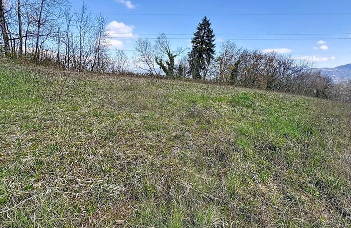 Terrain à vendre de 630,00 m² LA ROCHE SUR FORON (74) — photo 2