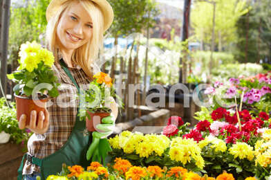 Commerce 3 pièces 54000 €