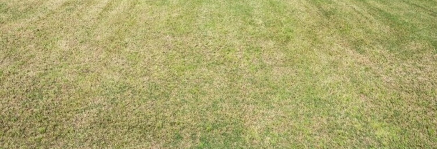 Terrain  430 m² à vendre à Miribel (01700)