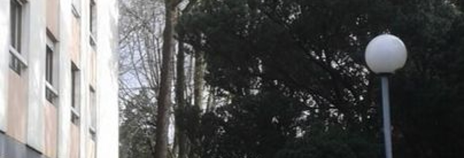 Appartement 1 Pièce 17 m² à louer à L'Haÿ-les-Roses (94240)