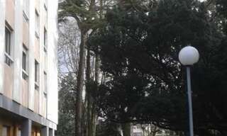 Appartement 1 Pièce 17 m² à louer à L'Haÿ-les-Roses (94240)