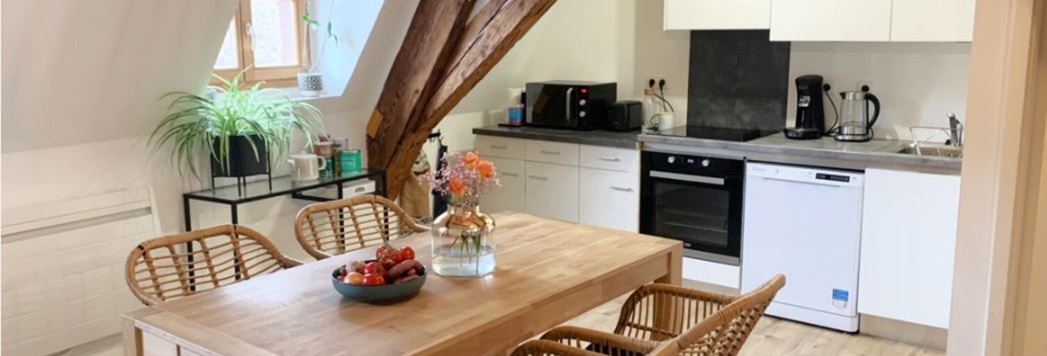Appartement 2 Pièces 57 m² à louer à Colmar (68000)
