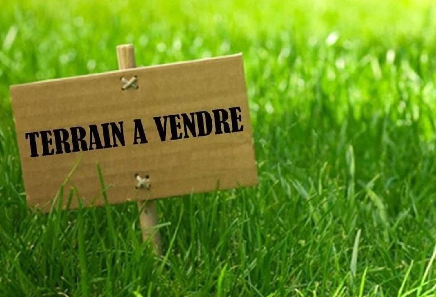 Terrain À Vendre — photo 1