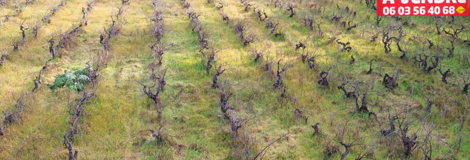 Terrain  591 m² à vendre à Sainte-Cécile-les-Vignes (84290)