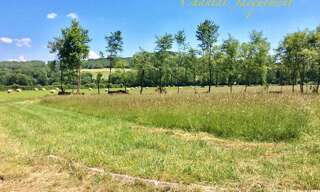 Terrain  1671 m² à vendre à Saint-Jean-de-Côle (24800)