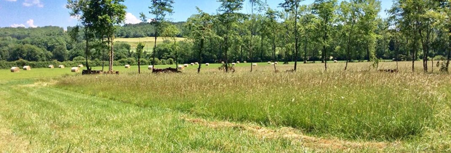 Terrain  1671 m² à vendre à Saint-Jean-de-Côle (24800)