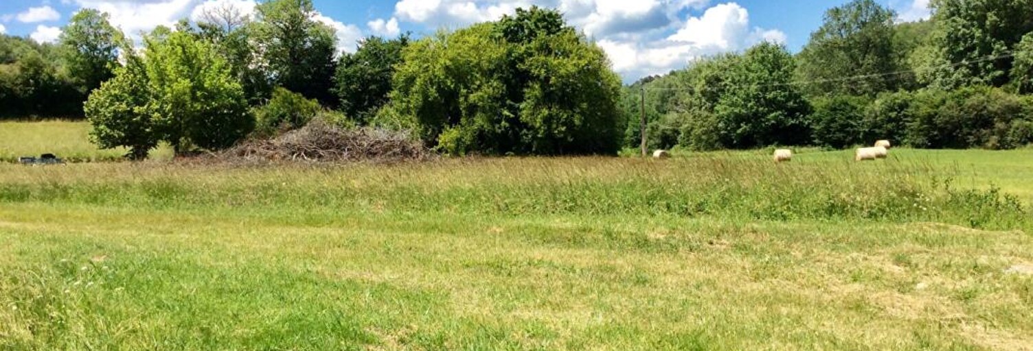 Terrain  1435 m² à vendre à Saint-Jean-de-Côle (24800)