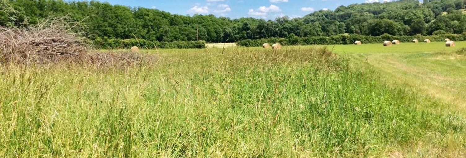 Terrain  1631 m² à vendre à Saint-Jean-de-Côle (24800)