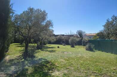 Terrain  223650 €