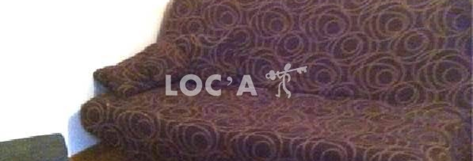 Appartement 1 Pièce 16 m² à louer à Villeurbanne (69100)