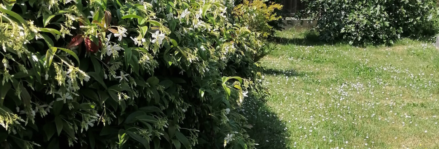 Maison 3 Pièces 60 m² à vendre à Andernos-les-Bains (33510)