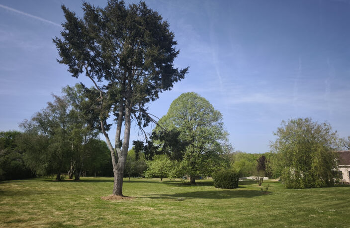 Charmante maison avec grand terrain à Rivarennes (36) — photo 3