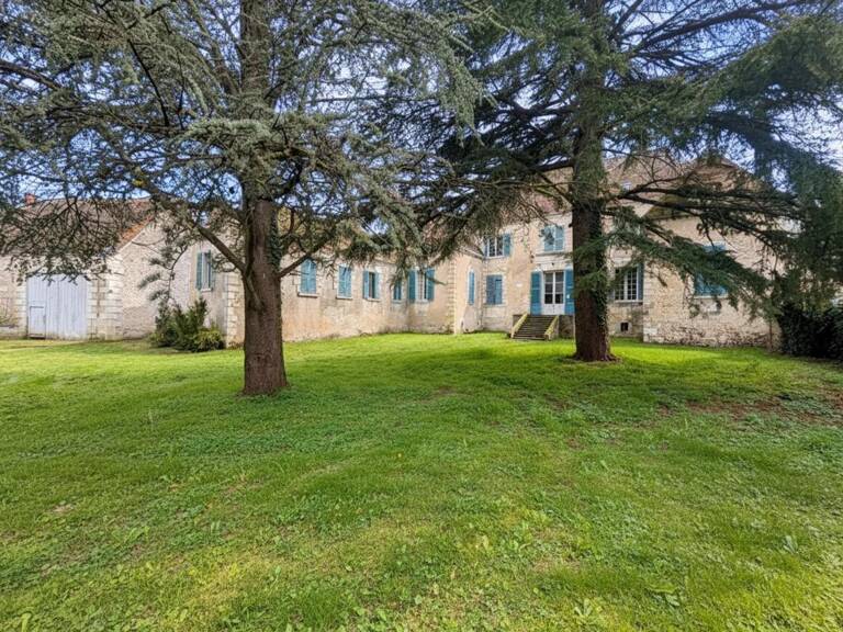 Majestueux Hôtel Particulier à Châtillon-sur-Indre — photo 1