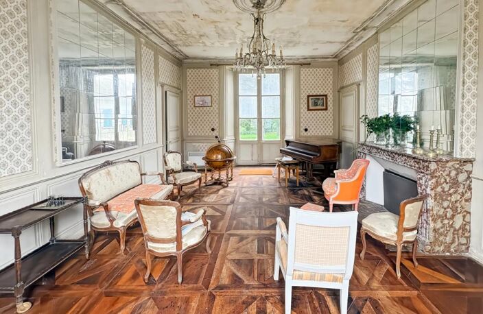Majestueux Hôtel Particulier à Châtillon-sur-Indre — photo 5